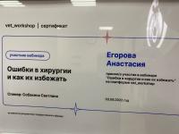 Сертификат сотрудника Егорова А.А.